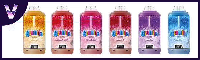 6 saveurs des puffs Granita 30K